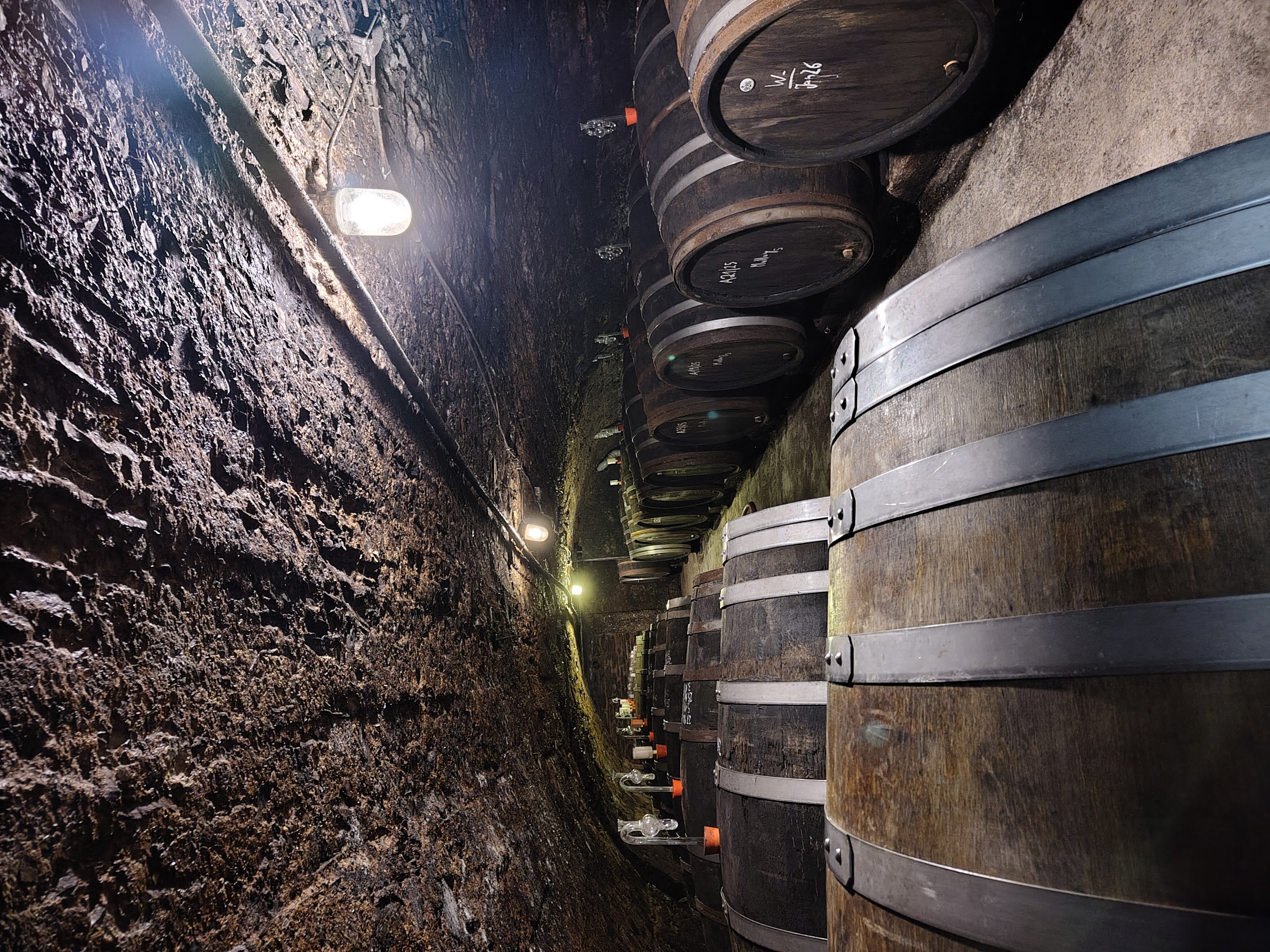 Melsheimer Weingut — foto