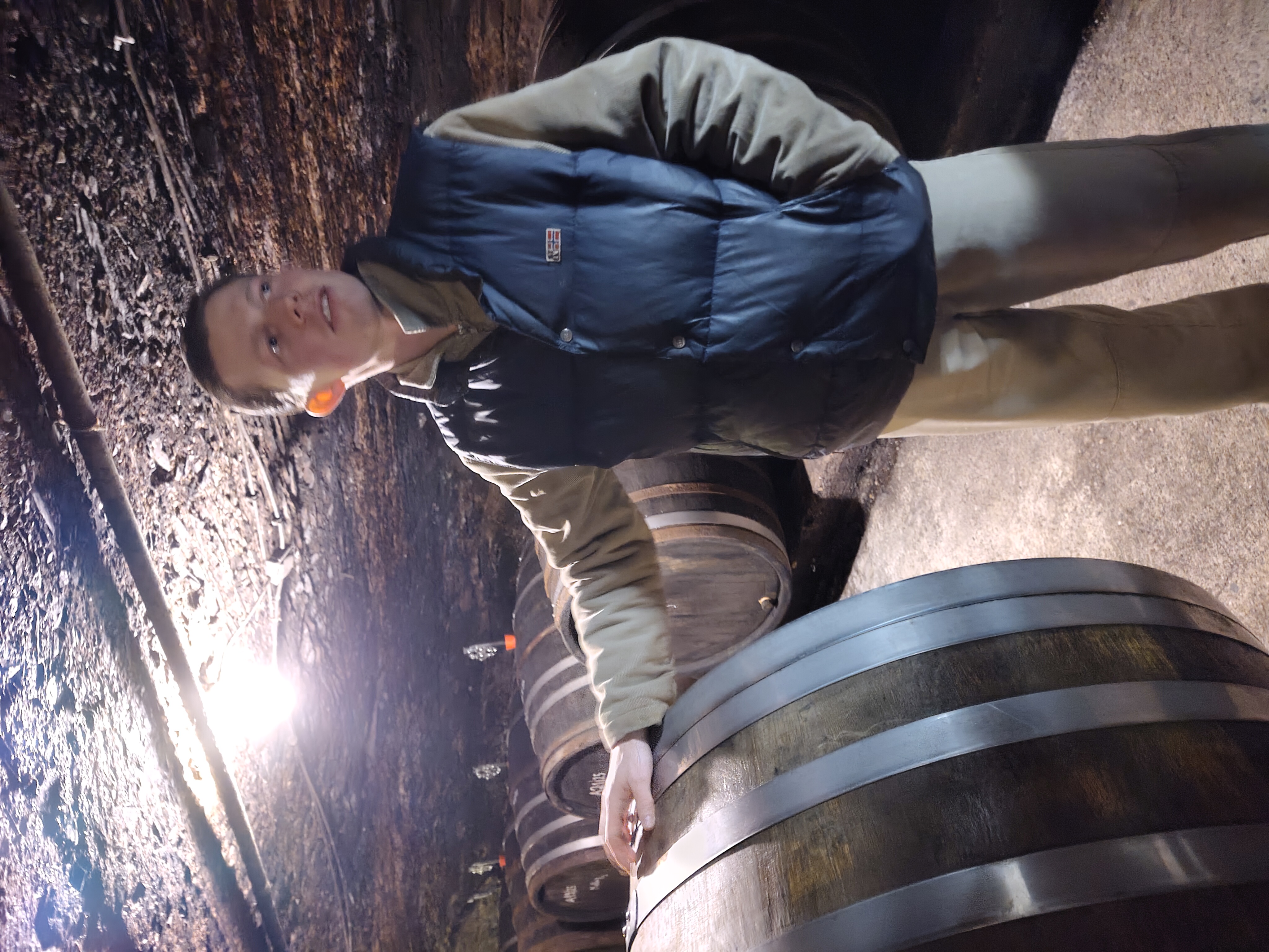 Melsheimer Weingut — foto